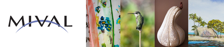 Banner 2 MIVAL 2010 v2